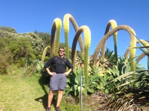 Wild Cactus -- Size Matters!