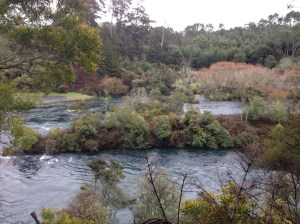 Island in Waikato River