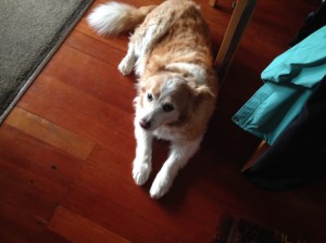 Sweet, sweet Jessie Lou!