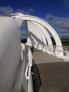 Scenes from the Coastal Walkway -- Te Rewa Rewa Bridge
