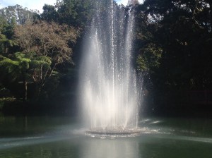 Fountain Lake at Pukekura Park