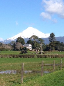 Best photo (so far!) of Mt. Taranaki -- taken from Barrett Domain