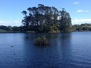 Lagoon at Barrett Domain