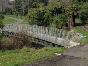 Scenes from the Huatoki Walkway