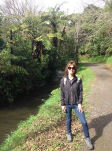 Scenes from the Huatoki Walkway