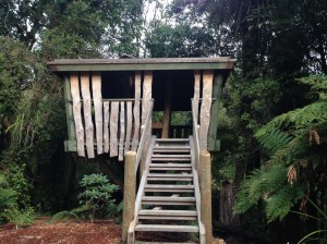 Tree House at Pukeiti Gardens