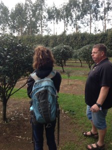 Beth with the winemaker looking at the fiejoa orchard.