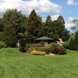 Green lawn with garden