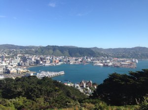 View of Wellington from the top of Mount Victoria