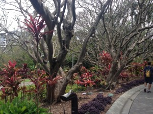 Roma Parklands -- View 1