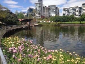 View of Brisbane from Hike and Bike path