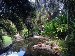 Mt. Coot-tha Botanical Gardens