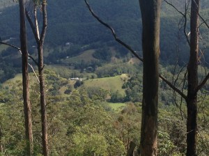 View 1 from drive to Mount Mee