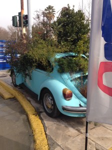 Another sidewalk decoration -- an old car being used as a pot for plants.