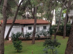 Our shared backyard in the multi-unit building we're staying in