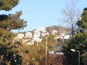 View up the mountain (one of them) from near our house.