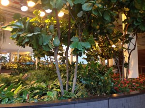 View 1 of Devonian Gardens inside mall