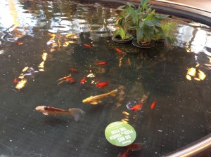 View 3 -- with instructions