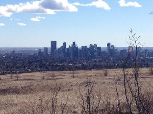 View of skyline from atop Nose Hill