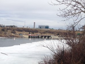Looking north across the Bow