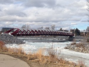 The Peace Bridge, designed by Santiago Calatrava, that crosses the Bow River just west of Prince's Island Park.