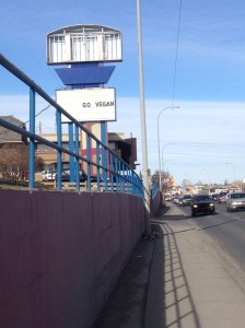 I fully support this sign's message -- just surprised to see it outside of a rundown motel, in a city of serious meat eaters