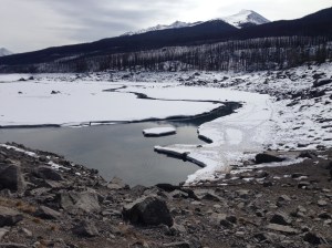 Medicine Lake -- down the road about 15k from Maligne Canyon