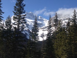 Understanding how small we really are!