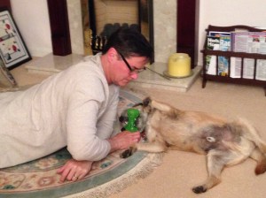 Bob playing with Bruce and his favorite toy.