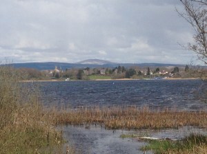 View 1 from Loch Castle Walk