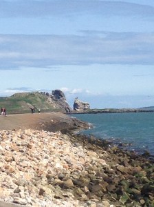 View 1 of the coast as we started our walk around the head.