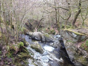 Creek near waterfall