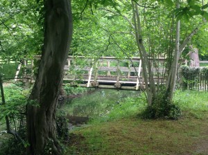 A natural trail near the cottage