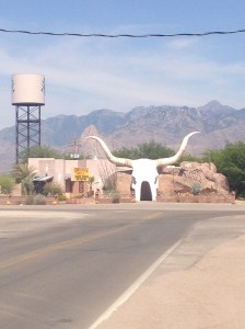Roadside exit off of Hwy 19 heading into the little community of Arivica. The longhorn skeleton is even more impressive in the rear view mirror as you drive away from it.