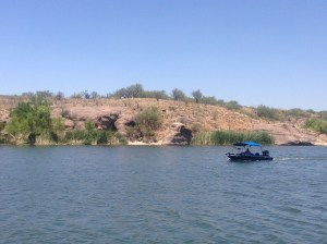 Boat on Patagonia Lake near where we started our Creek Hike. The hike was well shaded and brought us close to cows and turkeys. 