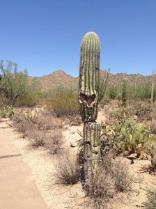 It almost looks like it wants to say something -- like maybe can someone realign my top and bottom?!