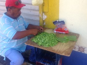 A man dicing nopales (cacti) that he would sell in bags